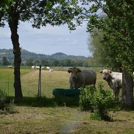 Gite A La Ferme De La Bouriette Revel  Exterior foto